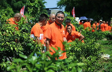 Shock: 50 yuan for a Starscream? This time, the farmers have something to say